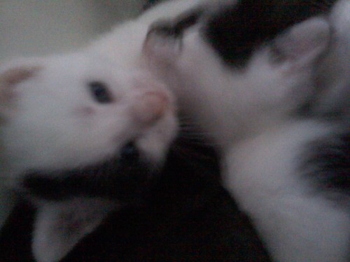 Pic-08022014-003 (1)