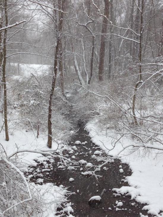 11024649_10205163176072003_1614517524715365904_n