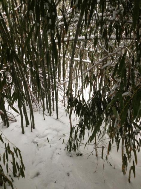 11037328_10205163174471963_6624586203425805559_n