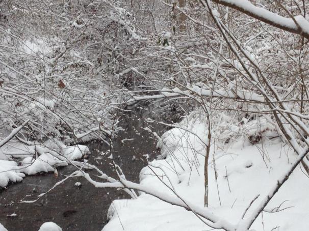 11054287_10205163175431987_6662674733570434606_n