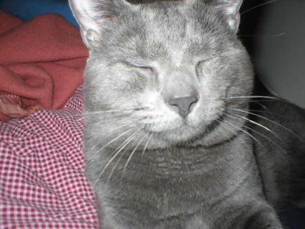 19869_106023692750834_4805130_n