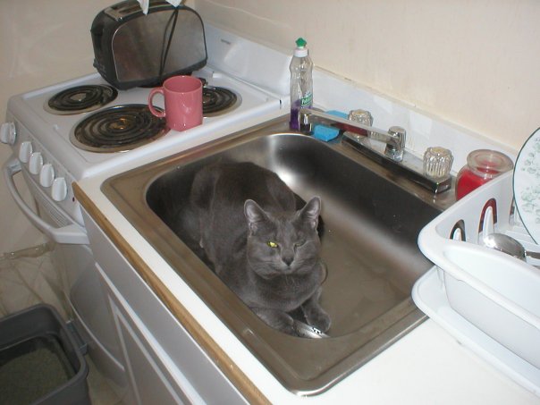 19869_106023696084167_5344037_n