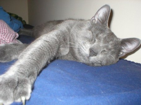 19869_106023699417500_785753_n