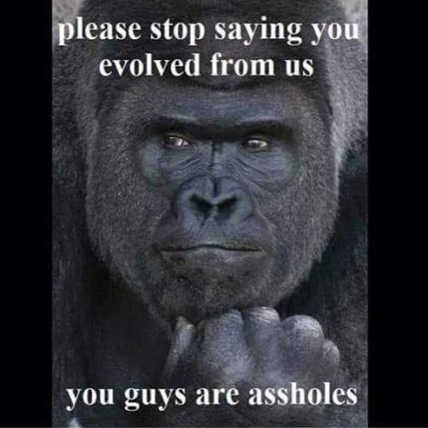 11703147_972798012758254_5461808838912237917_n