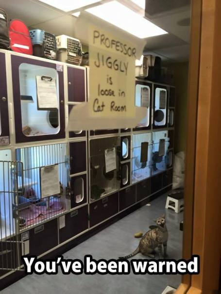 11904630_745087478934539_6211239276097548055_n