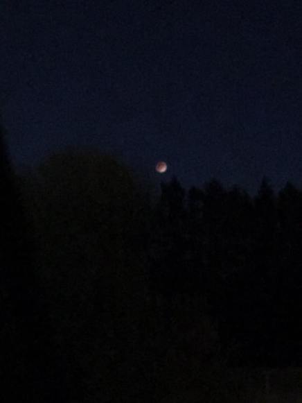 11221510_10156115935890301_9126684229779155831_n