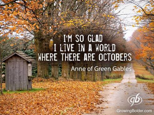 12075023_10153234092523581_2220402467146853172_n