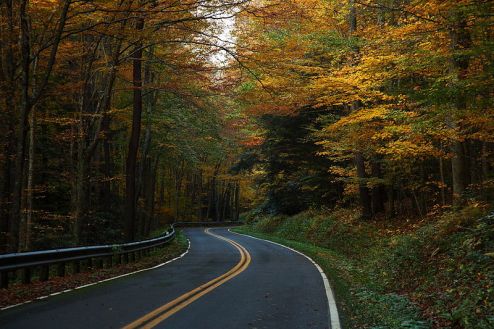 800px-West-virginia-winding-autumn-trees-country-road_-_West_Virginia_-_ForestWander