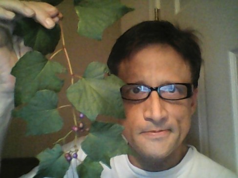 WIN_20151006_19_12_30_Pro