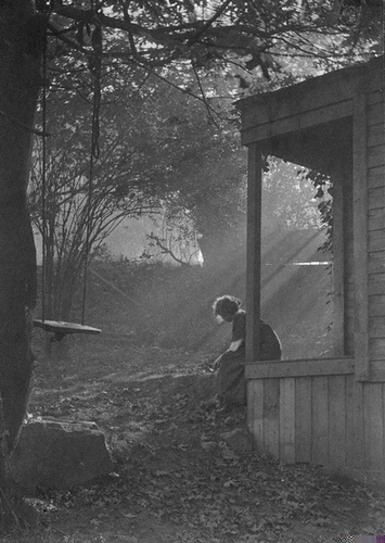 Morning_Mist_and_Sunshine