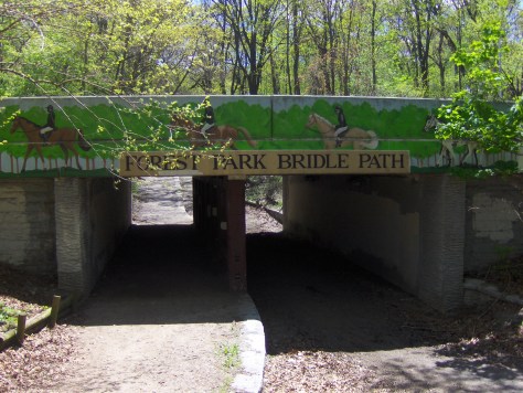 Forest_Park_Bridle_Path_(498736727)
