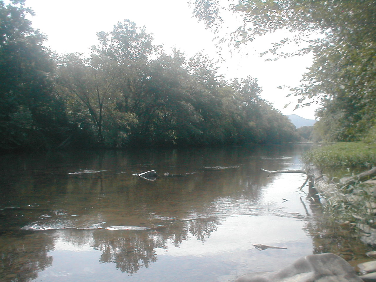 OLYMPUS DIGITAL CAMERA