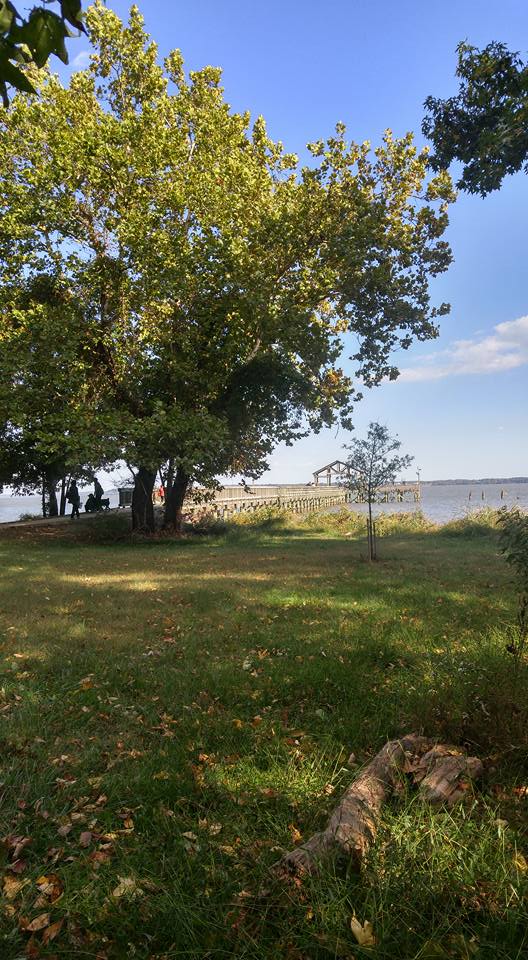 14716182_10211682328560320_7891708376820511875_n