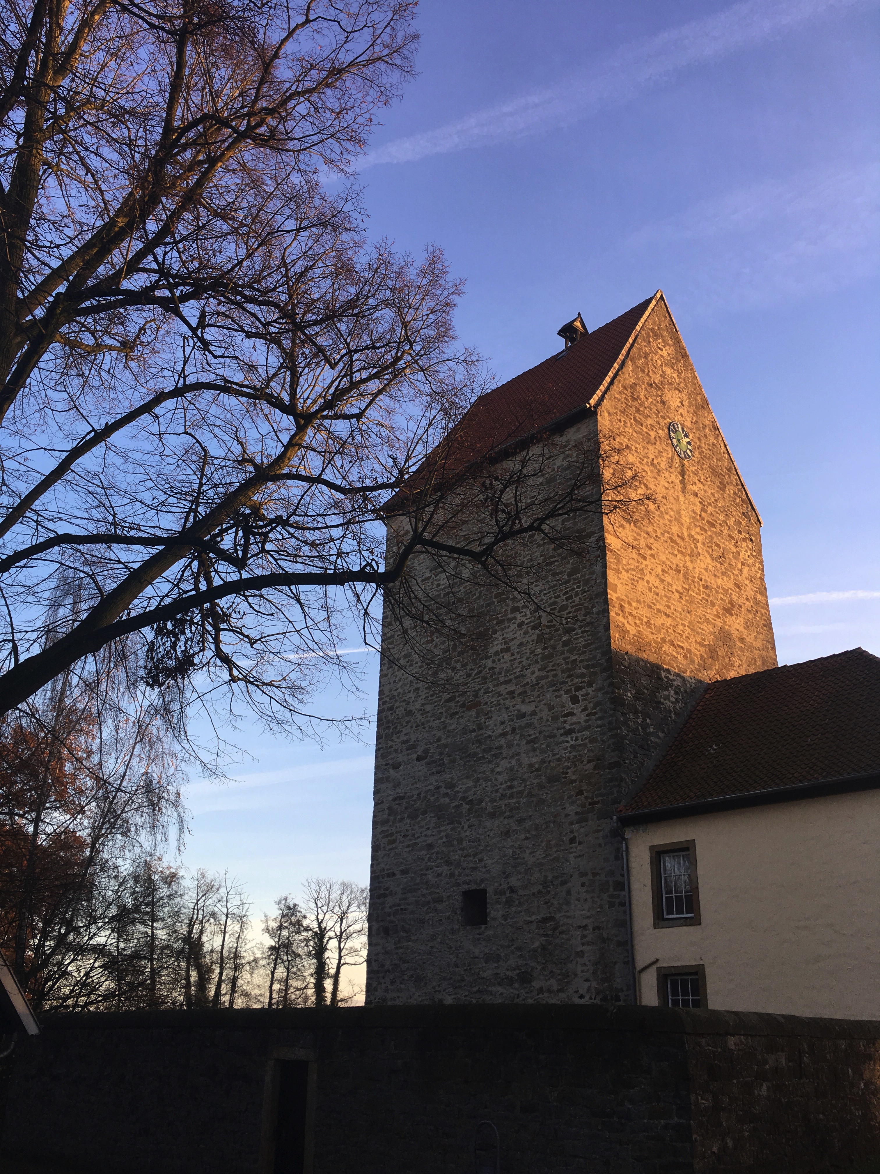 burg_wittlage