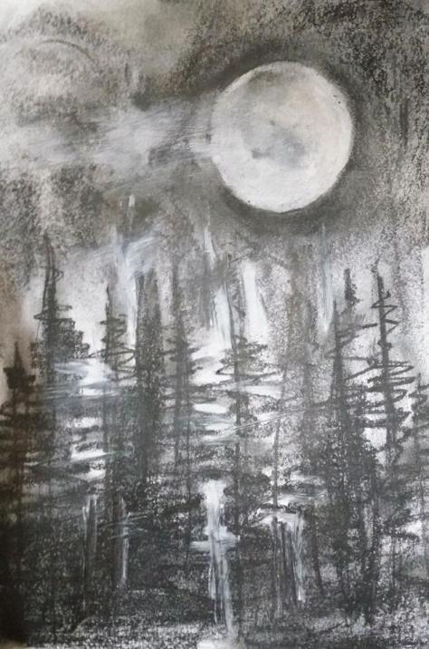 16472868_1288479641239148_4418556740218413330_n