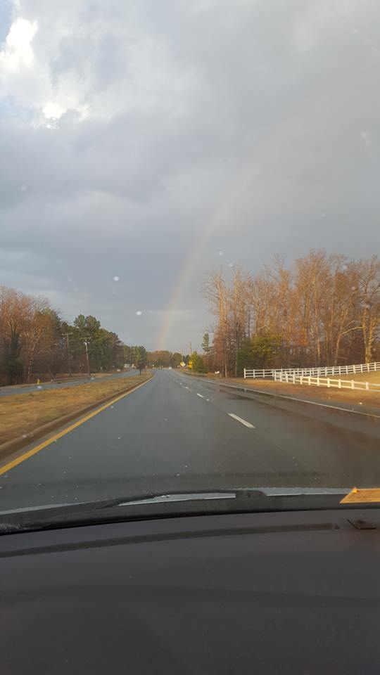 16508790_1031484813623028_5357338515894030267_n