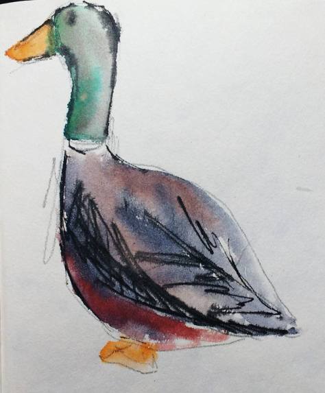 17103419_1326863337400778_5881971179696346792_n