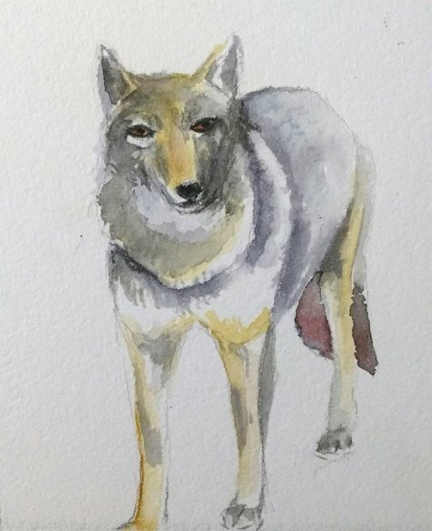 17192165_1328666247220487_5535323744810100066_o