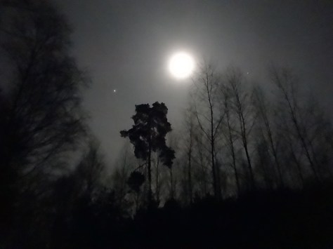 PuszczaBydgoska_night4_01-2015