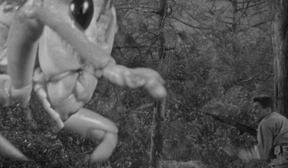 19437318_479384759070667_7997538492131229187_n