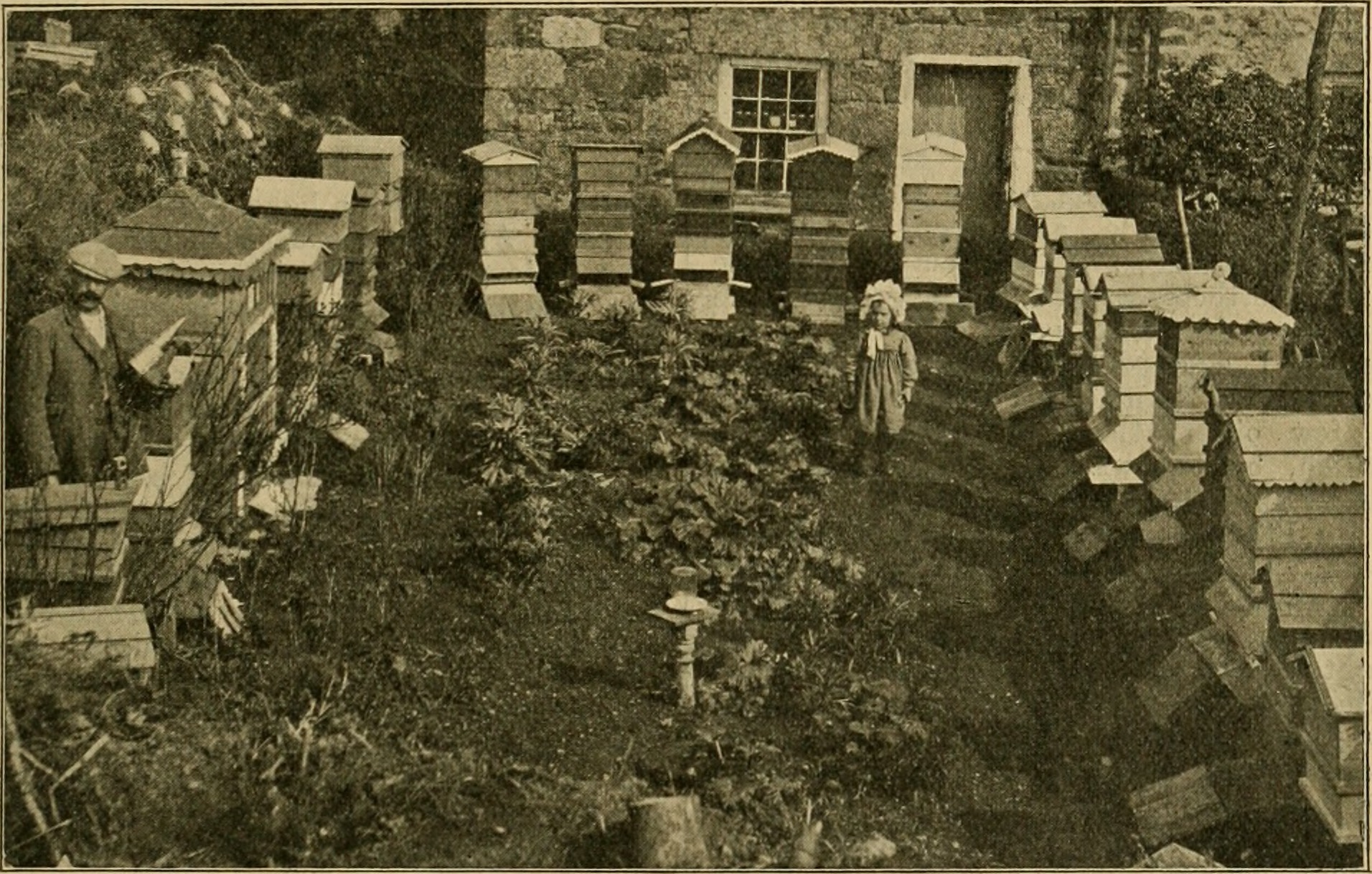 British_bee_journal_and_bee-keepers_adviser_(1908)_(20408064772)