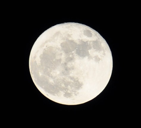 Super-Moon-2_11-14-2016