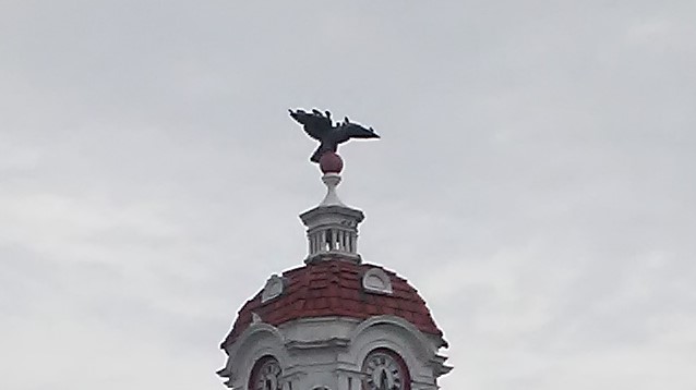 20170831_182853 (2)