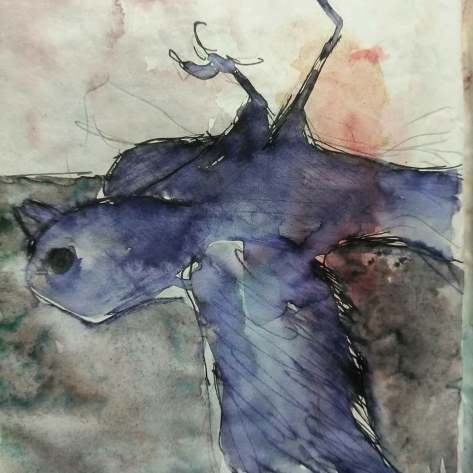 23172451_1563281807092262_3711501031932323224_n