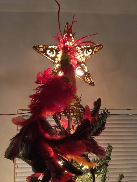 24993003_10155931032360970_93226417_o