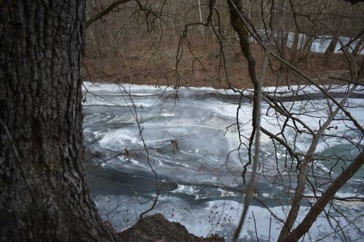 26230001_10156142880192472_5520931356127701162_n