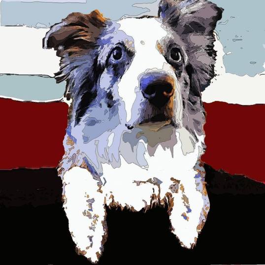 26993352_10215276106598231_5095509662510859553_n