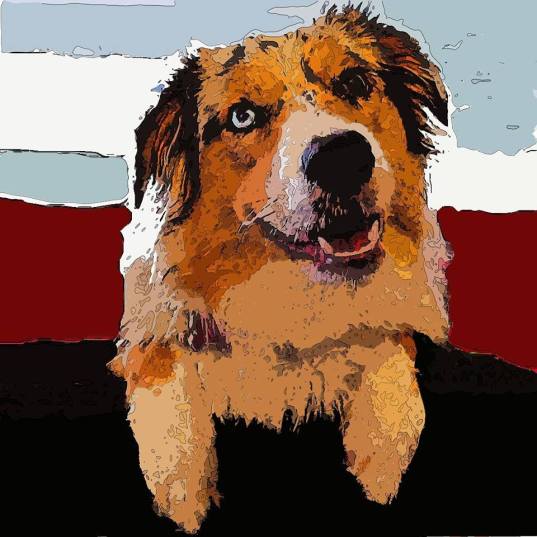 26993439_10215276106558230_4360332079866085984_n