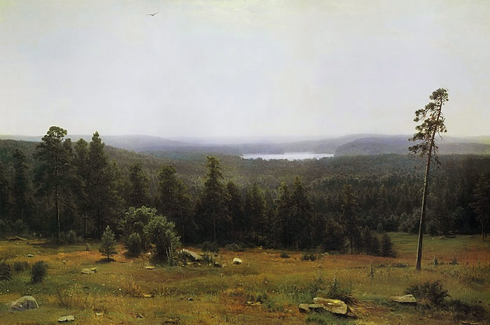 c76817a8911ac3e1d0b6c82d12dfc058