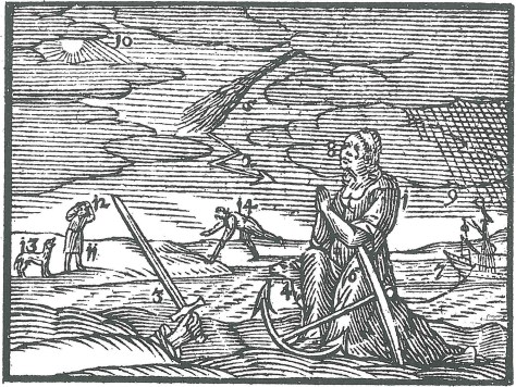 OrbisPictus_b_232 (1)