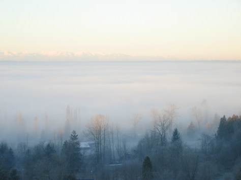 December_Fog_01