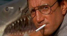 46451097_2177223465630836_8514379198071046144_n