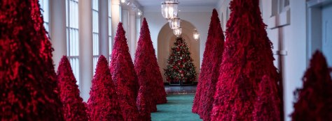 white-house-christmas-trees-red-2018