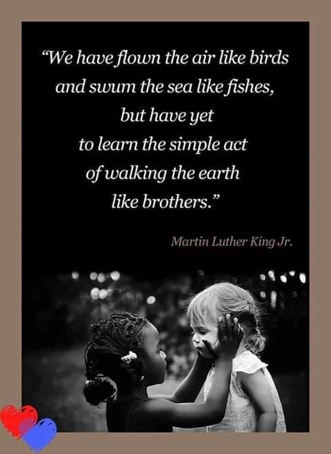 48375714_397579187450443_7713434682892746752_n