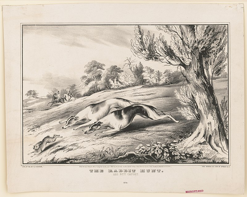 800px-The_rabbit_hunt-_all_but_caught_LCCN2001703791