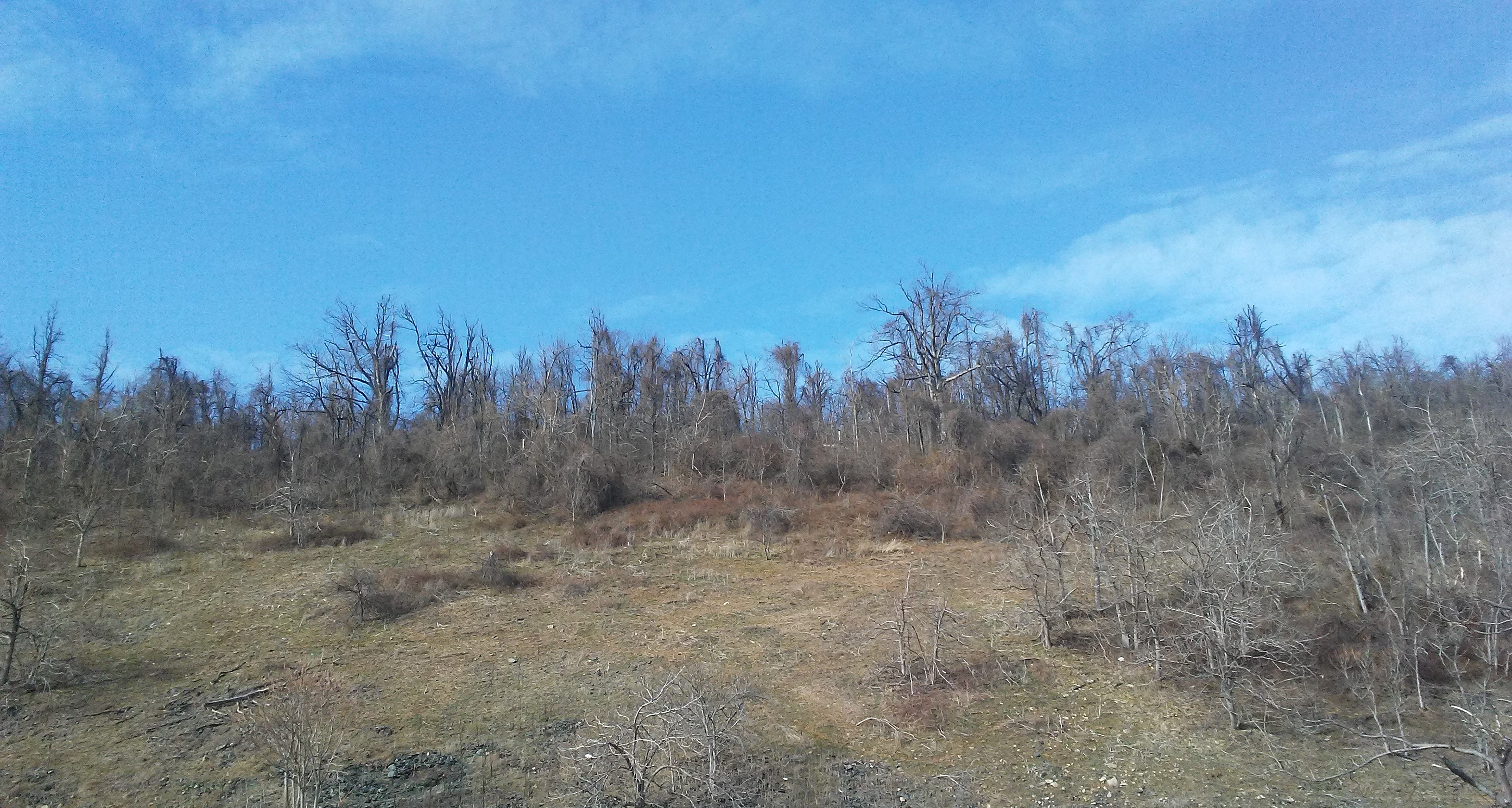 Rockfish Gap, Virginia, February 2020 Eric Robert Nolan, Author