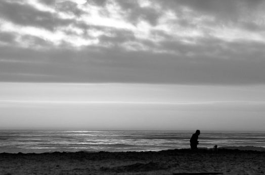 1024px-Form_(3914310481)