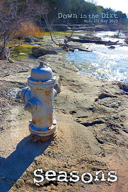 171dirt5seasons20fc430x645at06