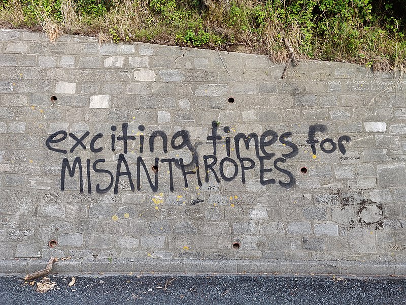 800px-Graffiti_in_Island_Bay_-_COVID-19