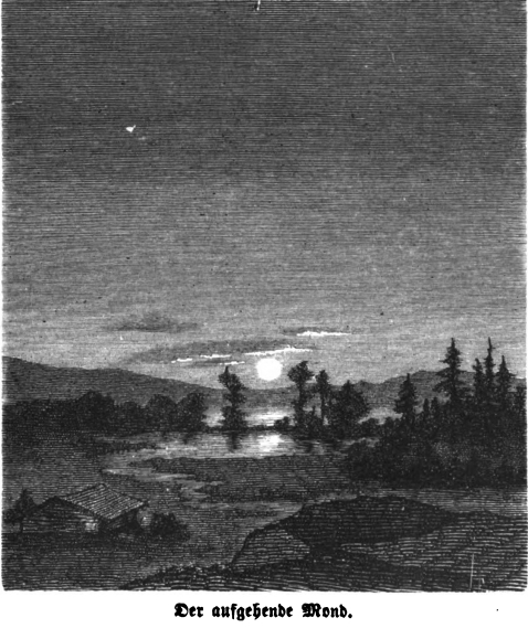 Die_Gartenlaube_(1864)_b_040