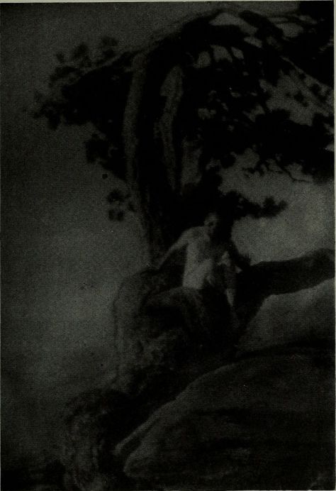 The_American_annual_of_photography_(1917)_(14783632382)