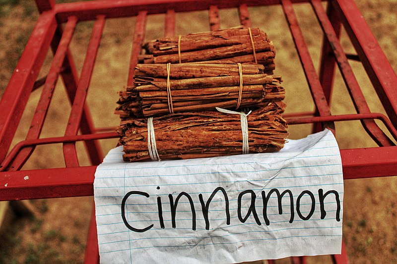 800px-Cinnamon_srilanka