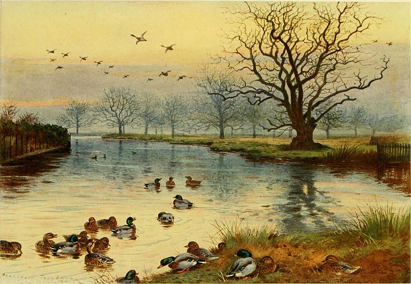 800px-King_Edward_VII._as_a_sportsman_(1911)_(14776925855)