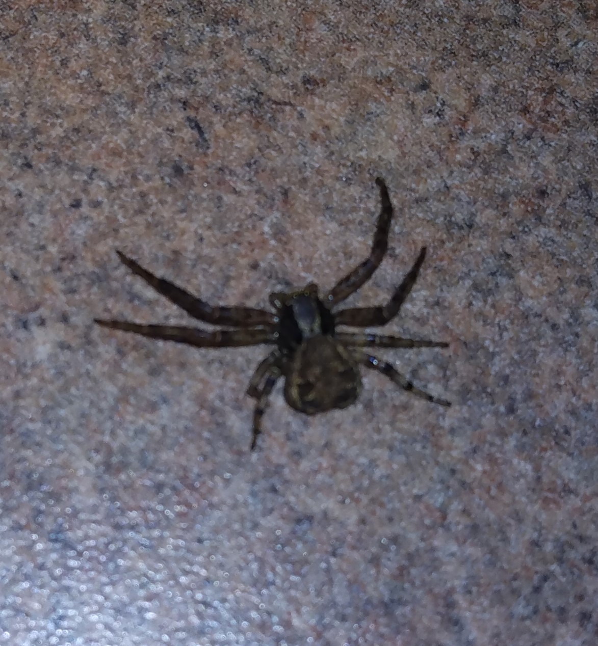 IMG_20220710_122323071-b