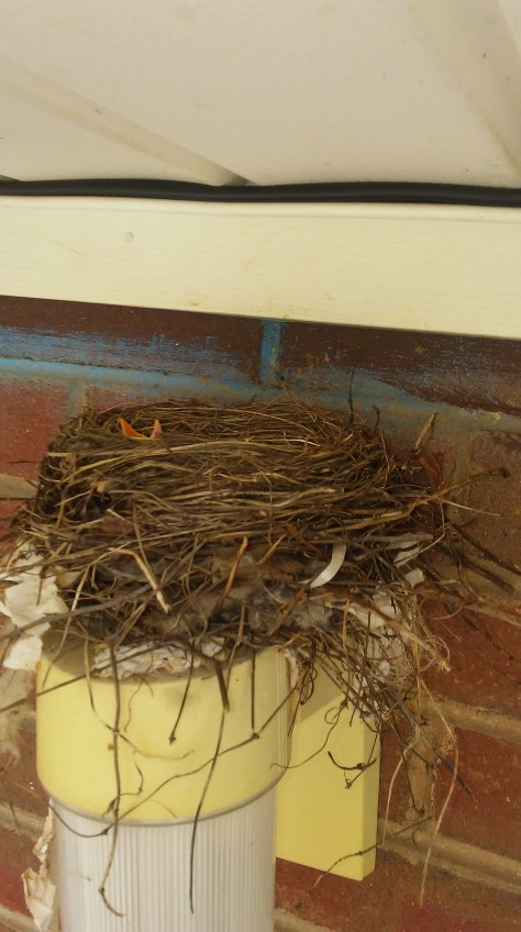 20170510_162504 - Copy