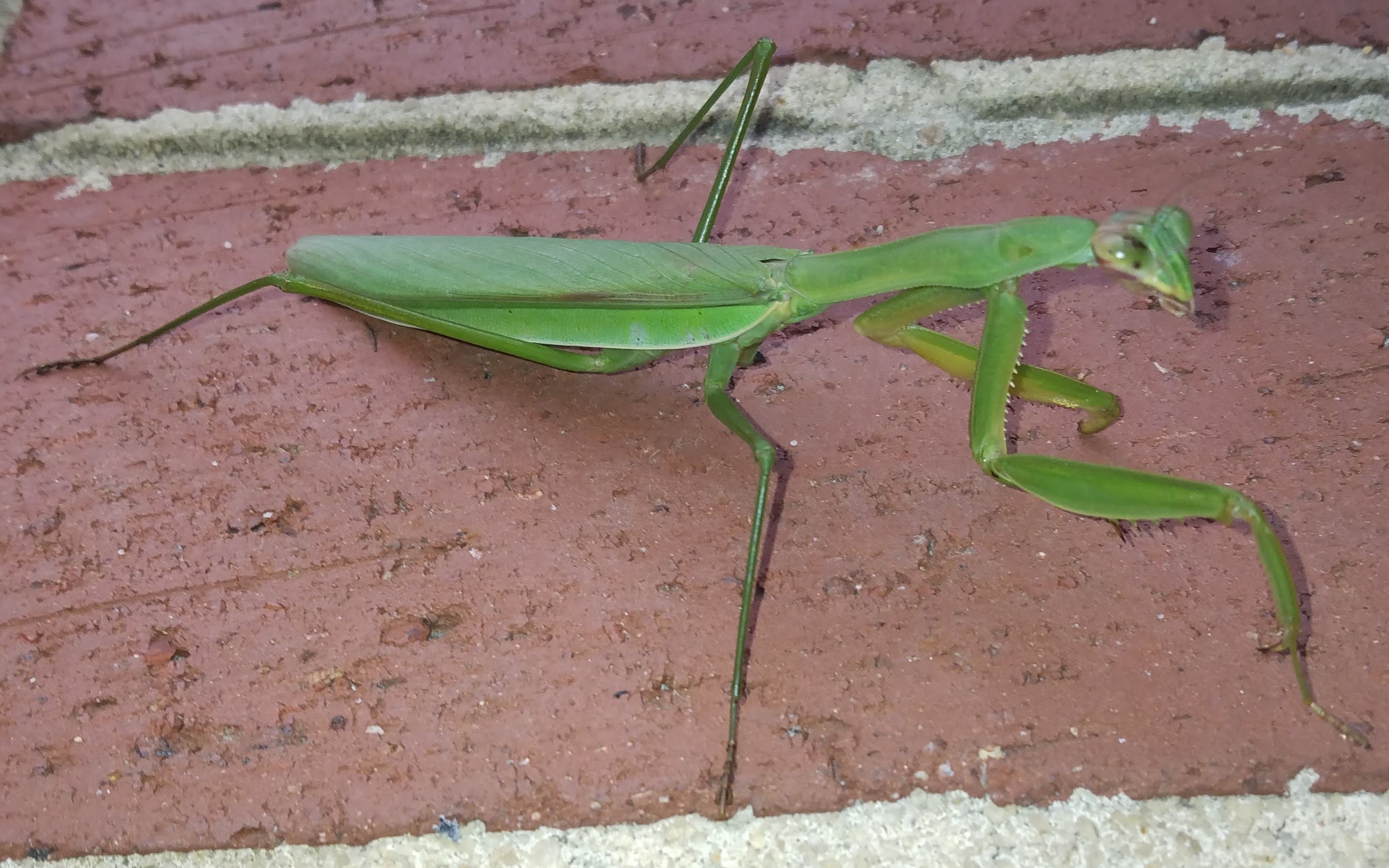 IMG_20221026_170732811